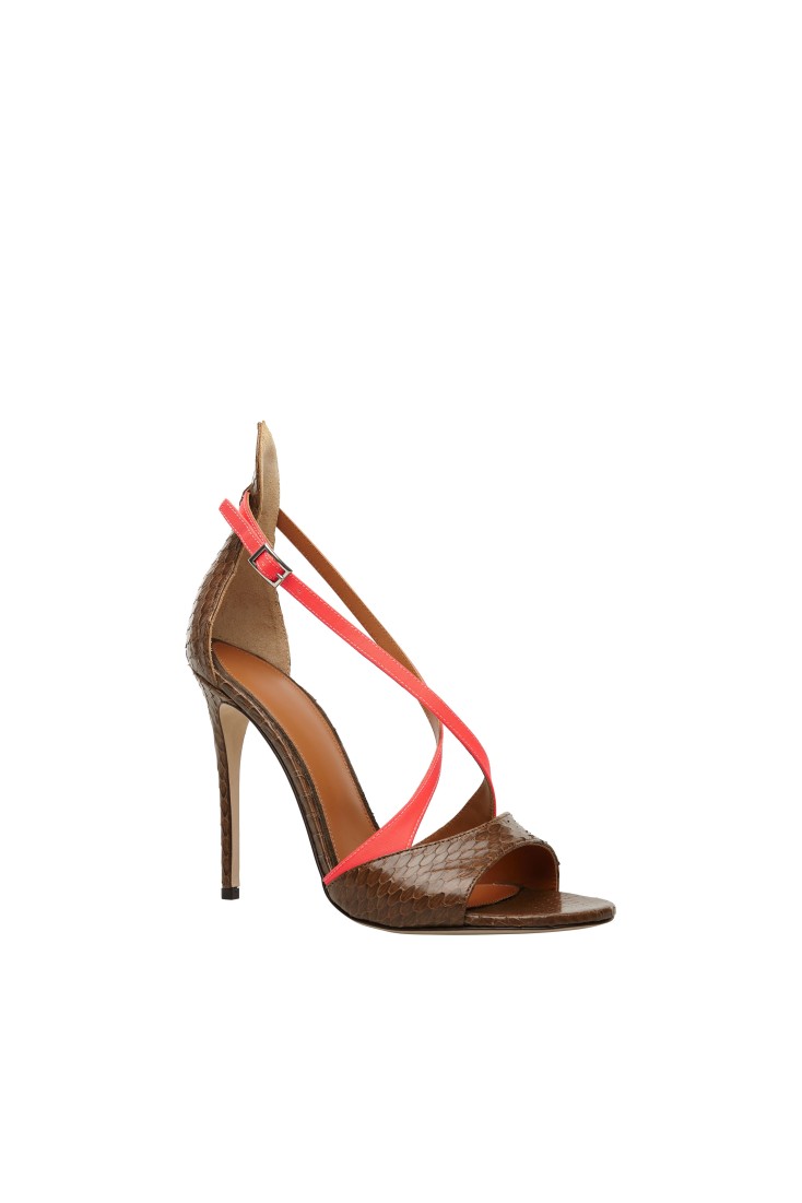 SOFIA BROWN & CORAL photo - achetez des chaussures italiennes exclusives dans la boutique en ligne «J.E.M»