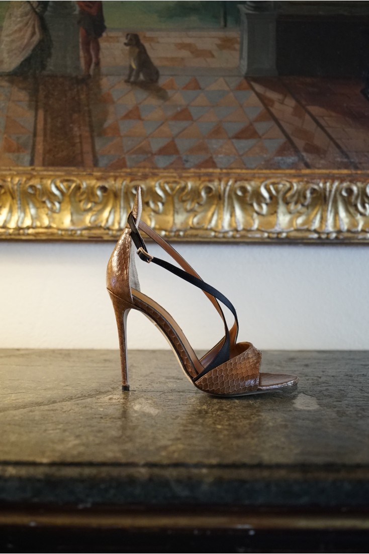 SOFIA BROWN & BLACK photo - achetez des chaussures italiennes exclusives dans la boutique en ligne «J.E.M»